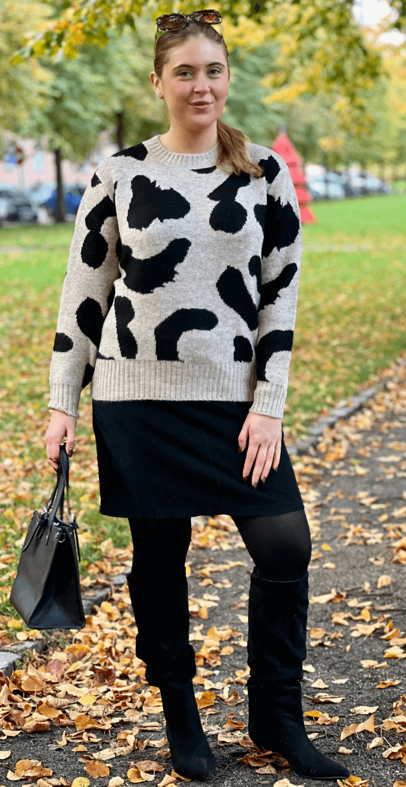 Minya strik humus mix