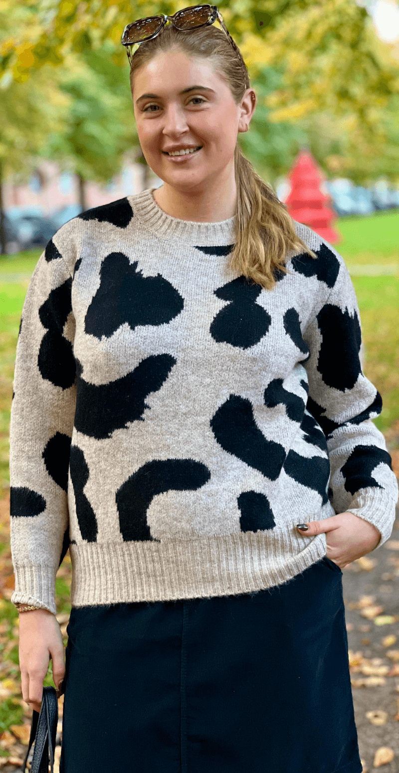 Minya strik humus mix