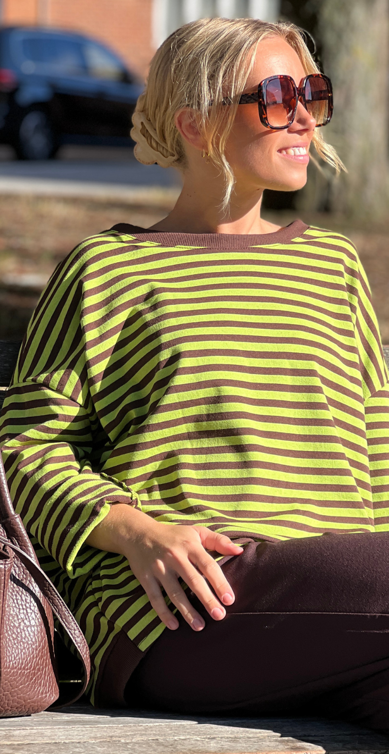 Zenia bluse med lange ærmer og striber old brown/pistachio LikeLondon