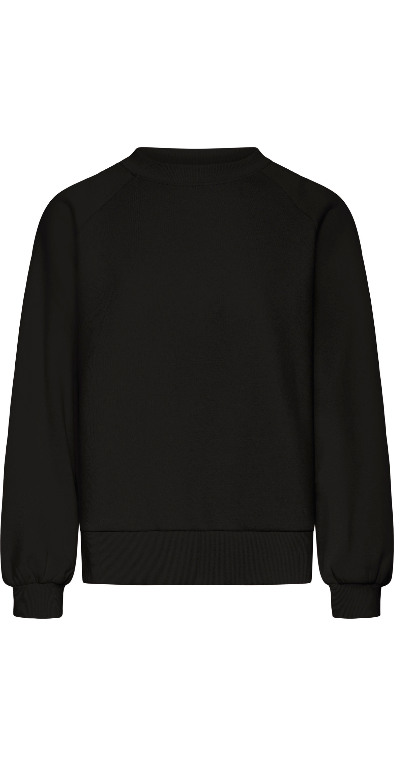 Mille sweatshirt meteorite