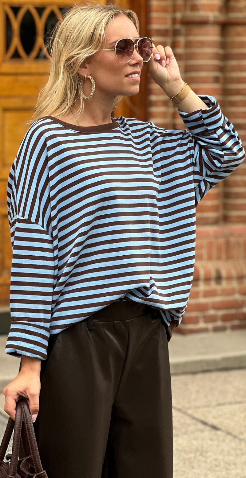 Zenia bluse med lange ærmer og striber sky blue/old brown LikeLondon