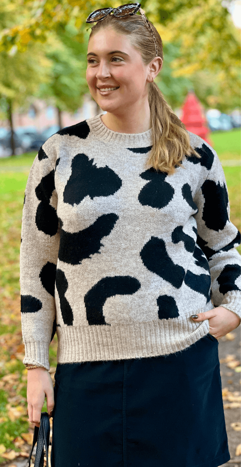 Minya strik humus mix