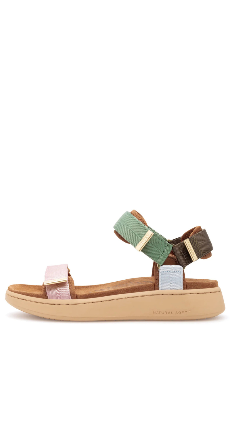 Sandal med velcro Algae multi